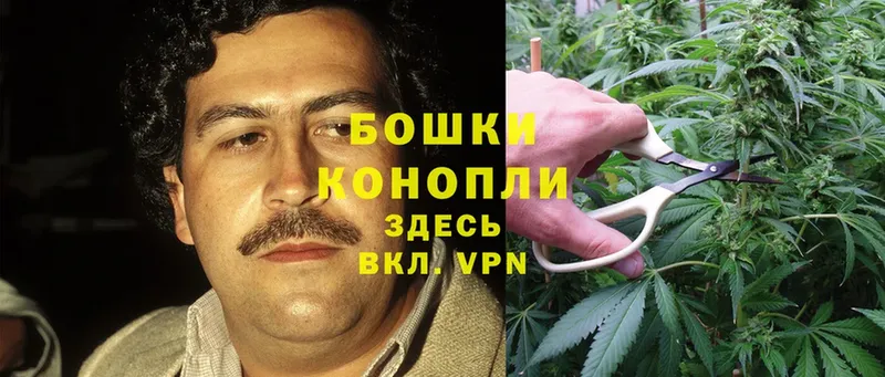 Канабис Ganja  Зеленоградск 